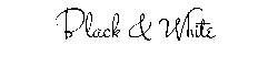 B&W Logo
