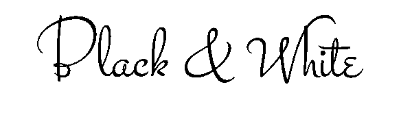 This is Black and white Clothing Corporate logo